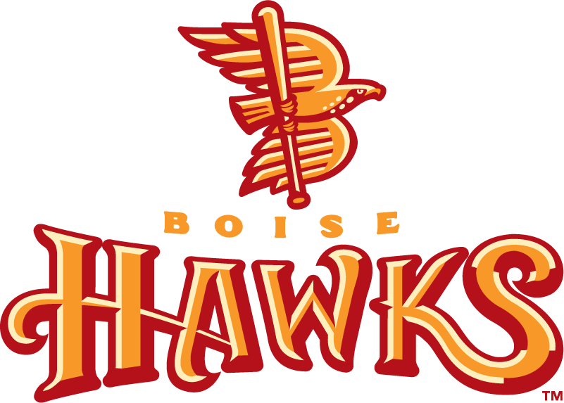 Boise Hawks 2007-2010 Primary Logo iron on transfers for clothing